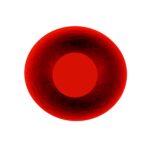 RhD negative red cell